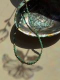 seafoam bloom