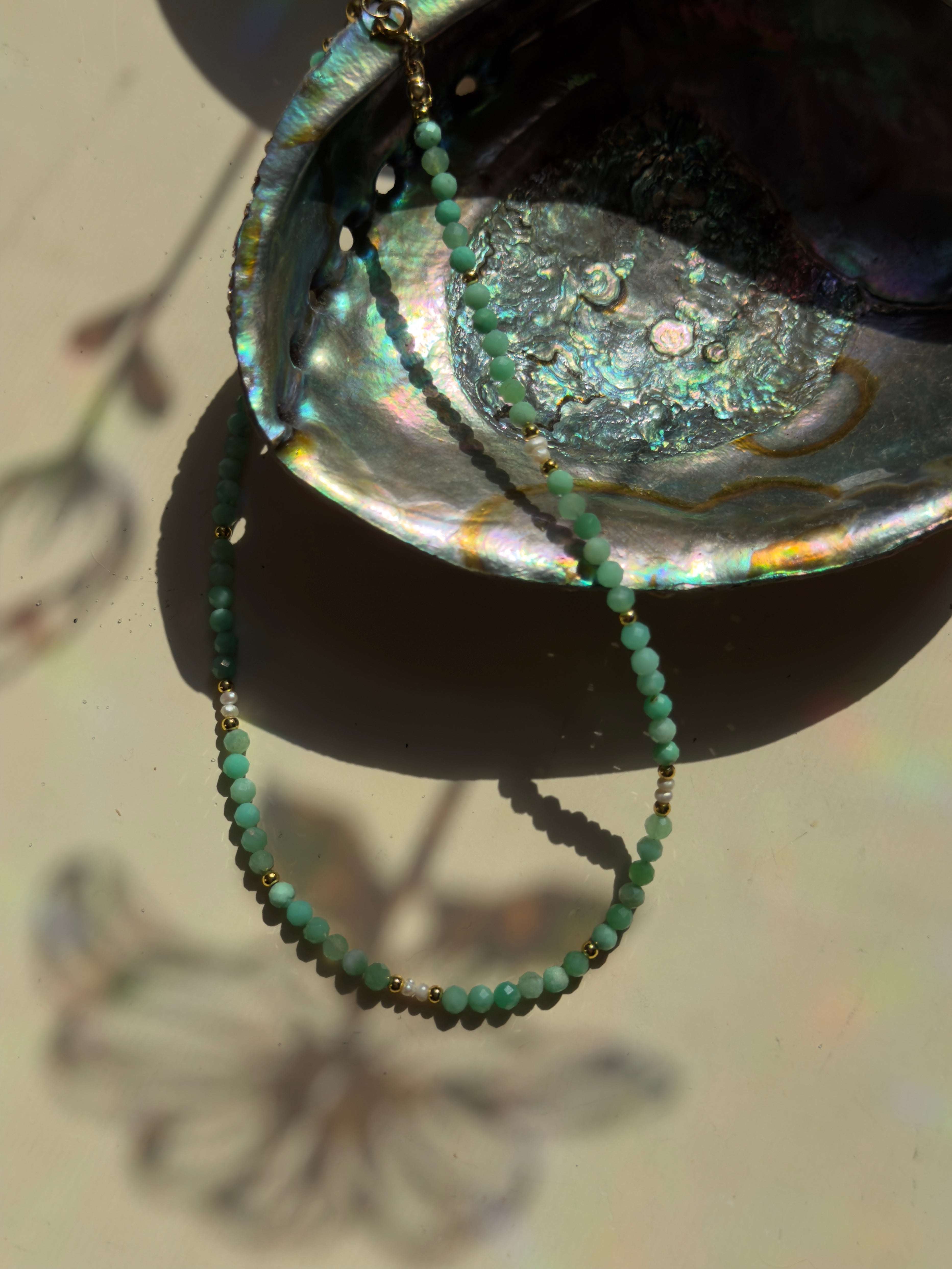 seafoam bloom