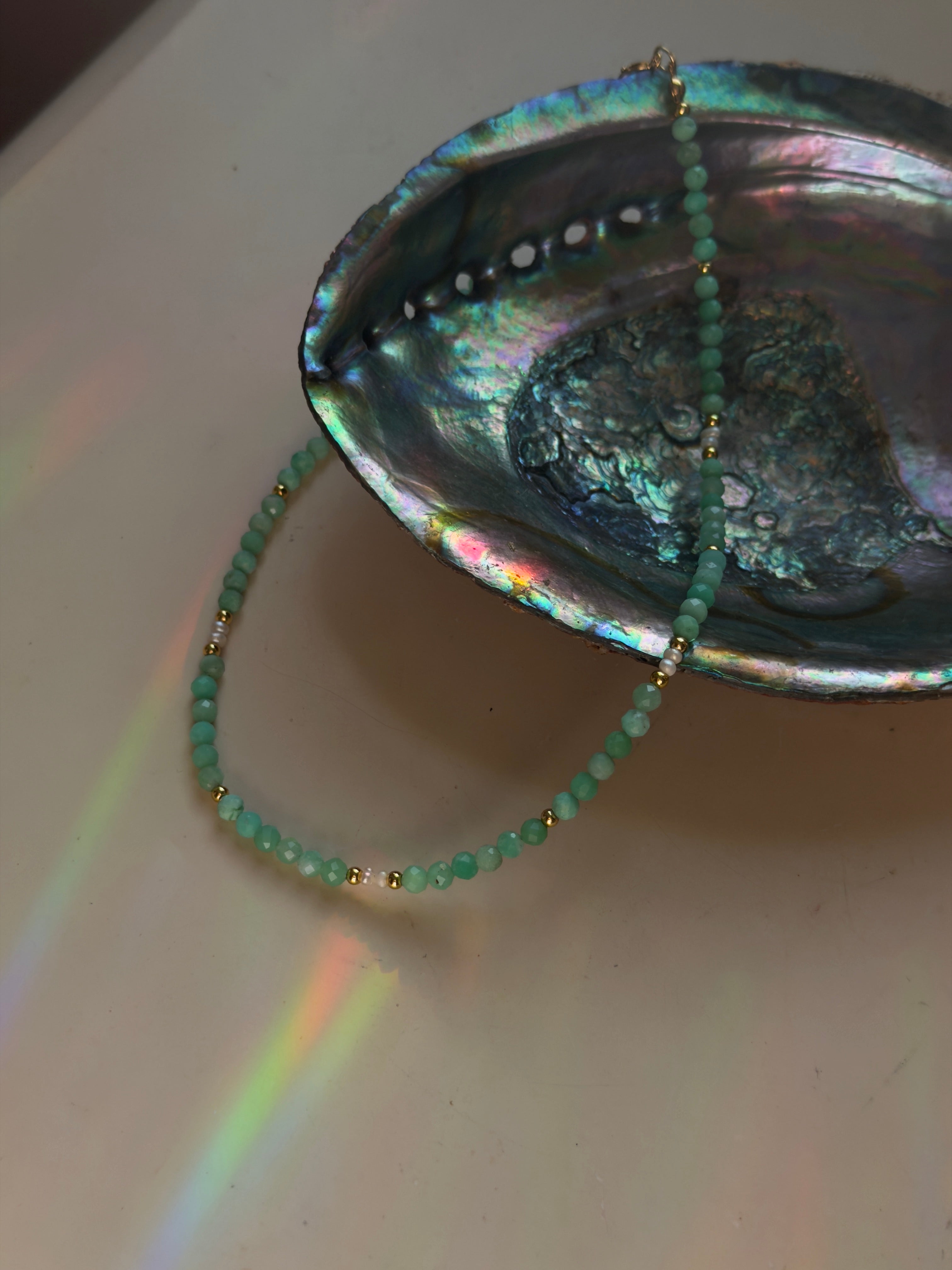 seafoam bloom